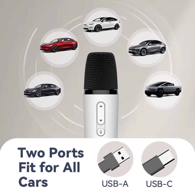 T1-테슬라 Car Karaoke Microphone,