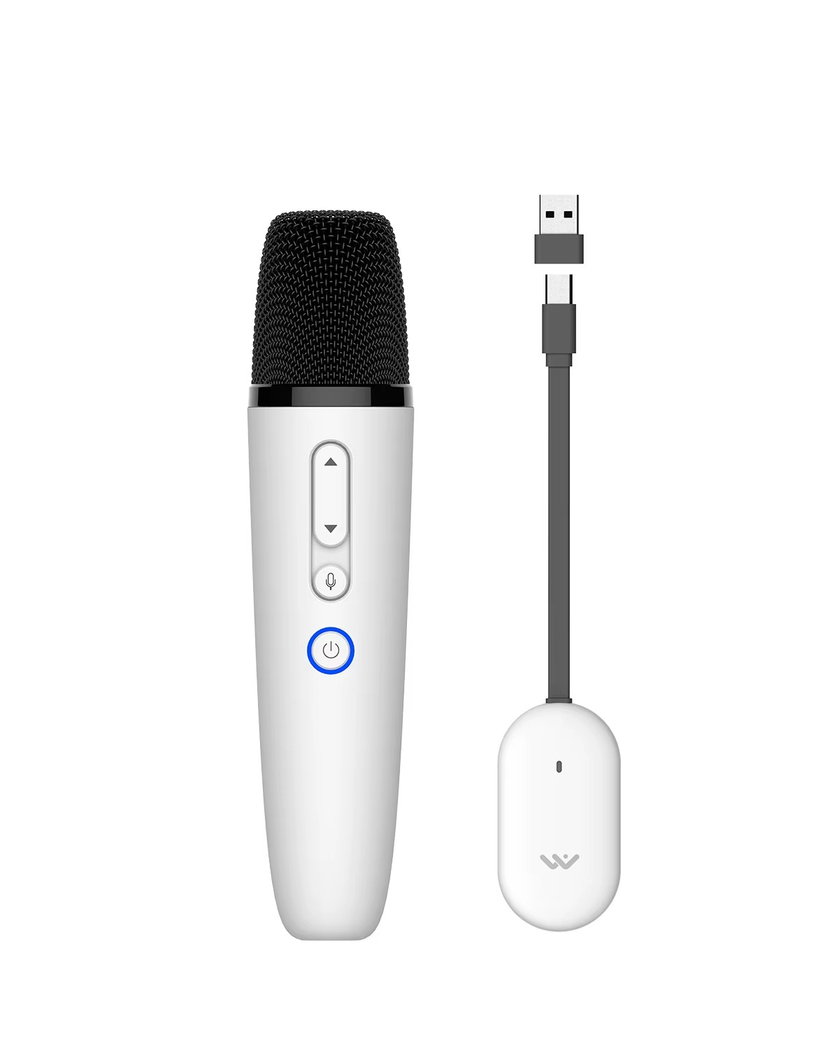 T1-테슬라 Car Karaoke Microphone,
